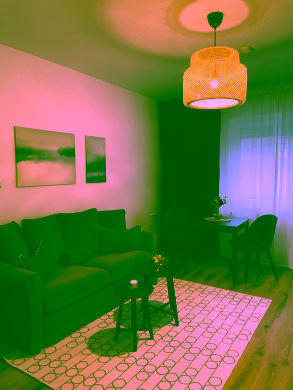 Bild - Möbliertes 1-Zimmer-Apartment in bester Berliner Wohnlage