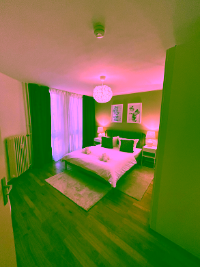 Bild - Frisch renovierte City-Wohnung mit Wintergarten – möbliert & bezugsfertig in Toplage Schöneberg