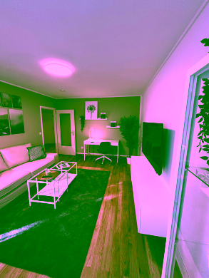 Bild - Frisch renovierte City-Wohnung mit Wintergarten – möbliert & bezugsfertig in Toplage Schöneberg