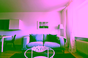 Wohnbereich - Unser gemütliches 1-Zimmer-Apartment in ruhiger Lage