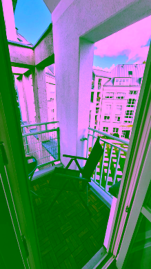 20241011_120524 - Helle 3-Zimmer-Oase – Natur, Ruhe und Tegeler See vor der Tür