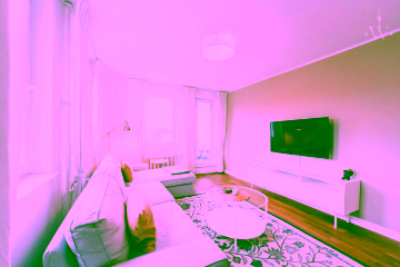 woonwoon-berlin-wohnen-auf-zei - Lichtdurchflutete, stilvoll möblierte 2-Zimmer-Wohnung in zentraler Lage