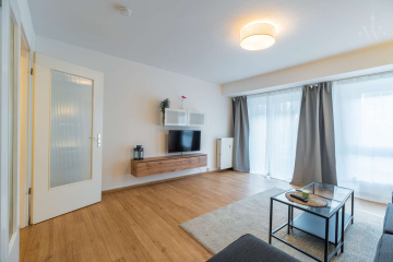 Wohnzimmer - Komfortables 2-Zimmer-Apartment mit sonniger Terrasse